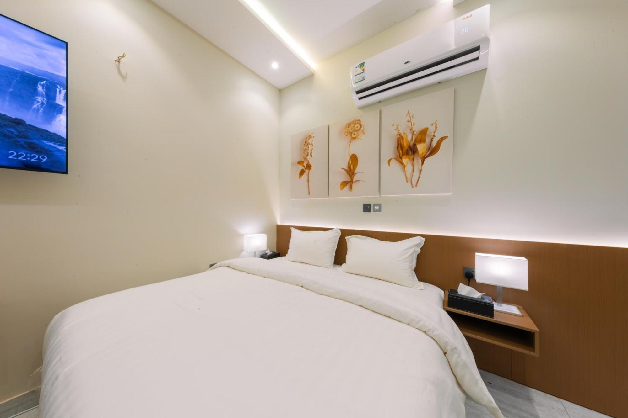 Luxury Apartment